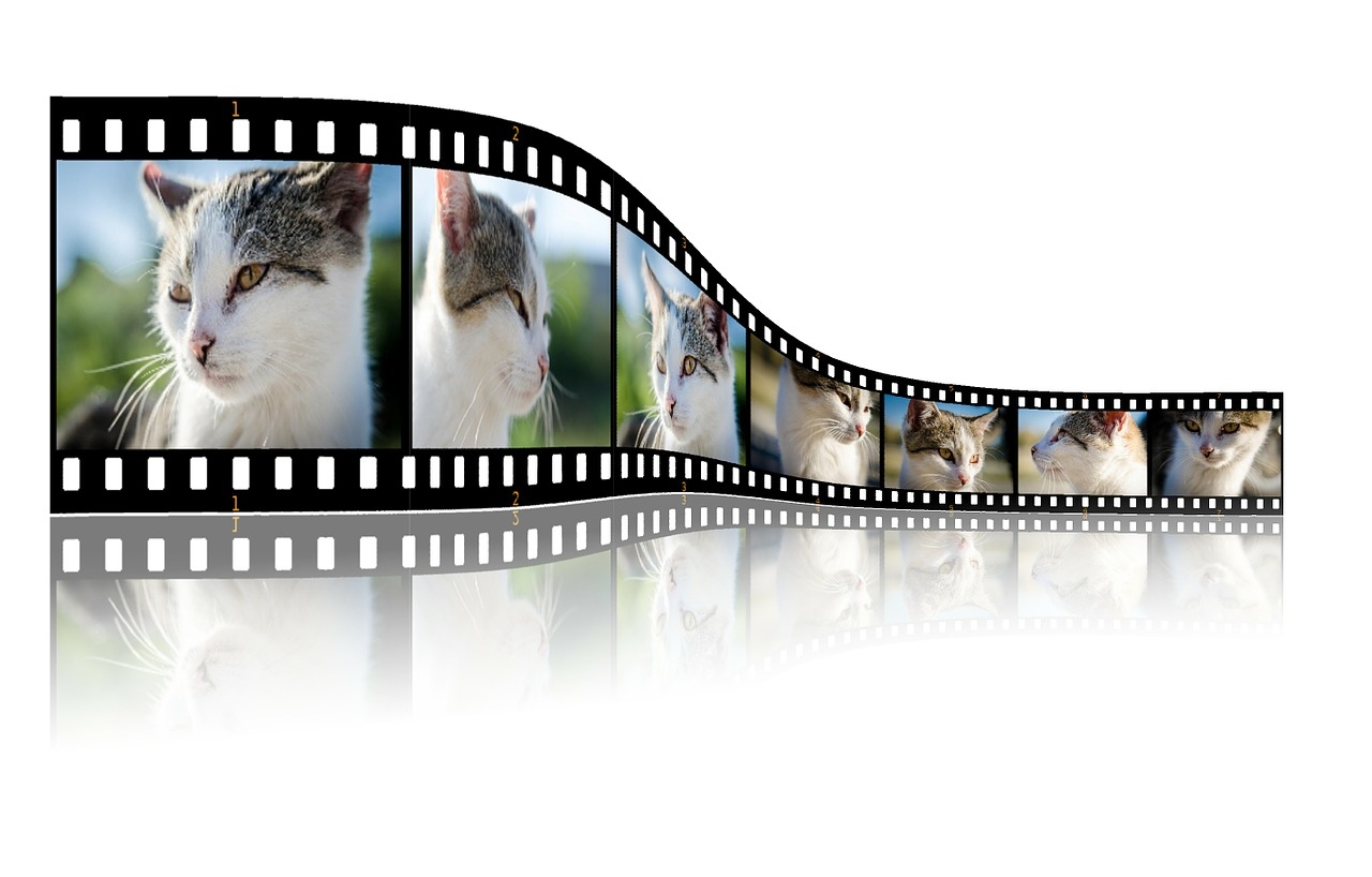 The importance of video marketing